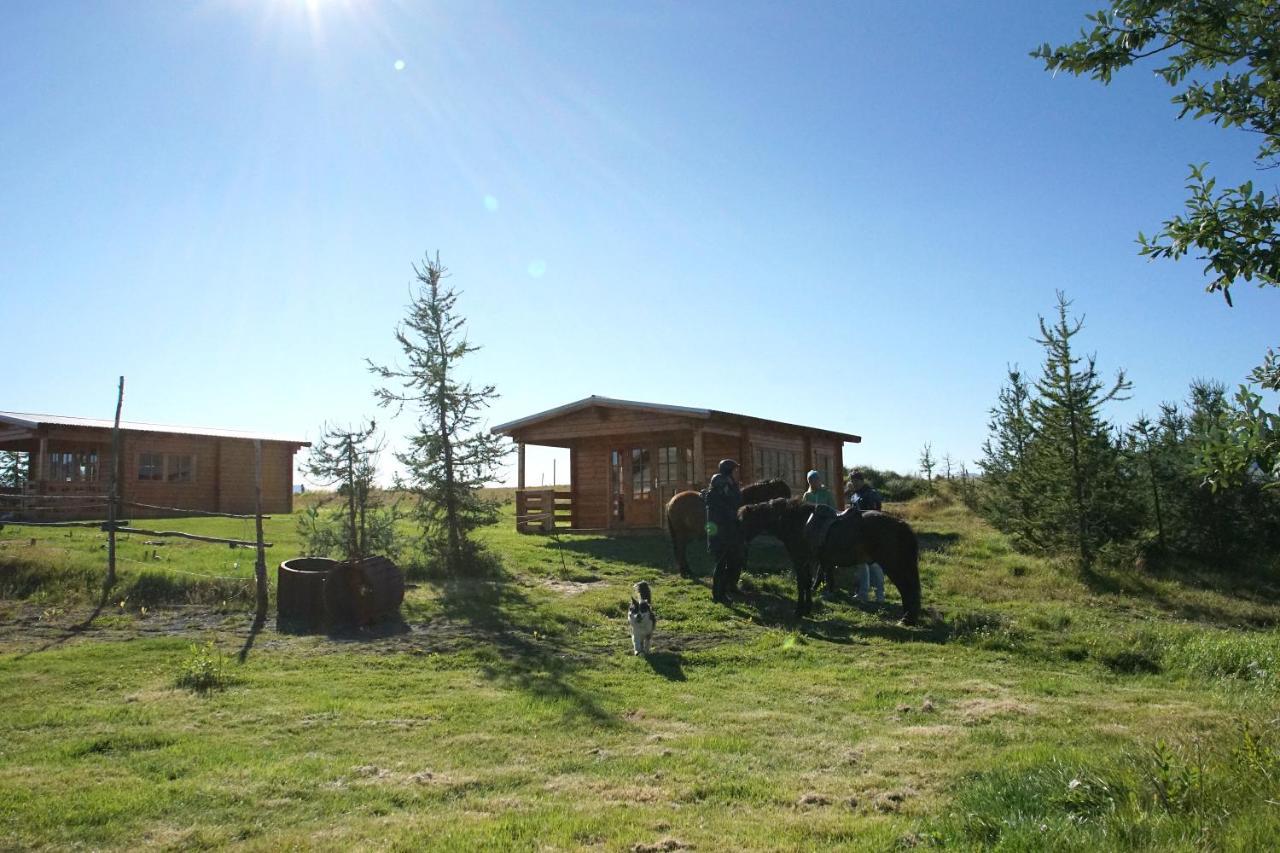 Villa Armuli Reynistadur Exterior foto